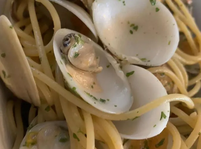 Svizzera Arma di Taggia